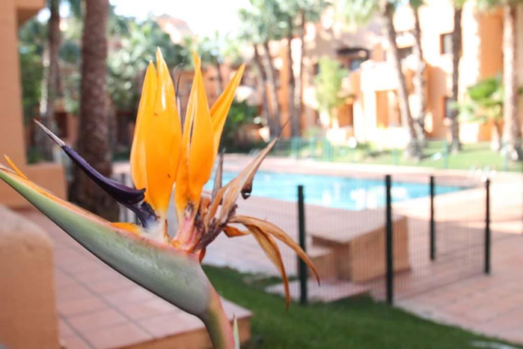 Casa Hermana Los Alcázares Zewnętrze zdjęcie